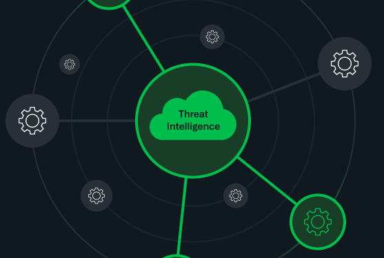 Shadow DNS Networks Are Steering Global Router Traffic
